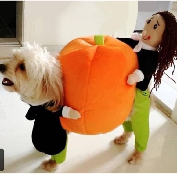 Other - Pet Halloween costume XXlarge